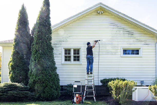 Best Driveway Pressure Washing  in Saybrook On The Lake, OH